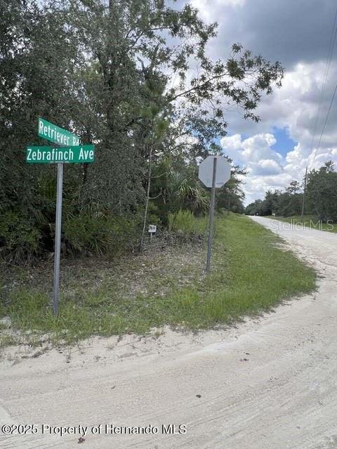 0 Zebrafinch Avenue, FL