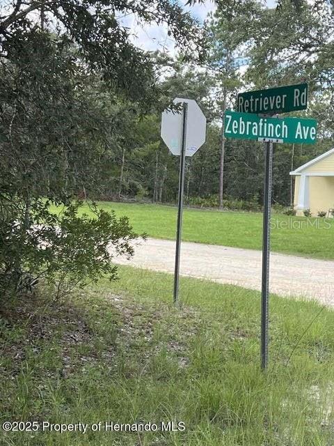 0 Zebrafinch Avenue, FL