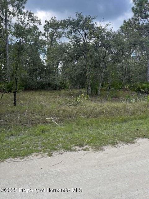0 Zebrafinch Avenue, FL