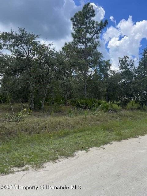0 Zebrafinch Avenue, FL