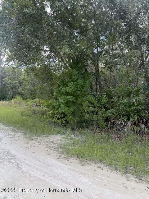 0 Zebrafinch Avenue, FL