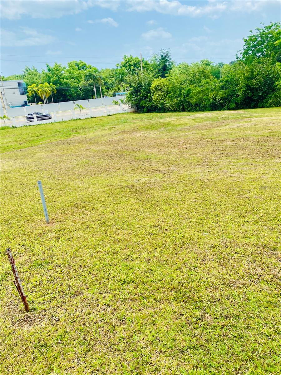 308 Bahia Real Ii Lot 2, PR