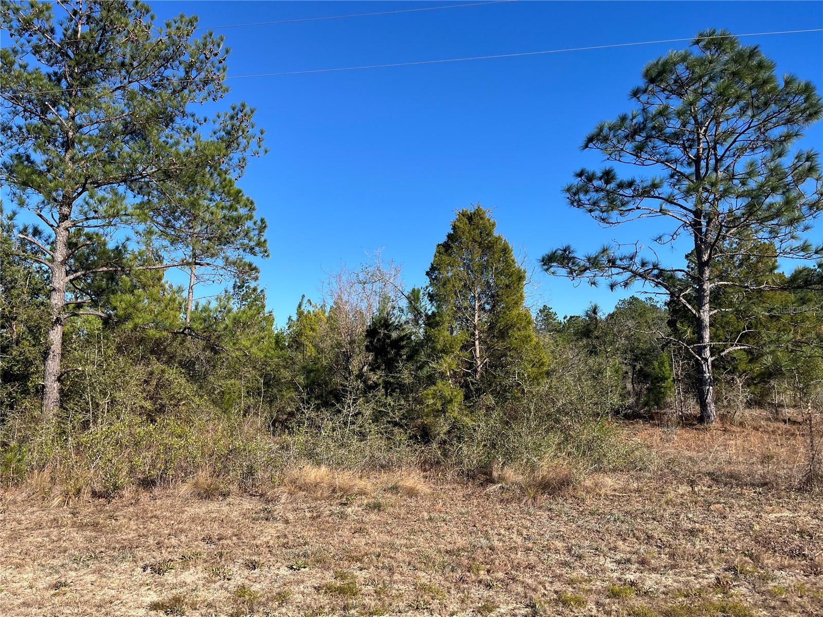 Fairview Rd, FL