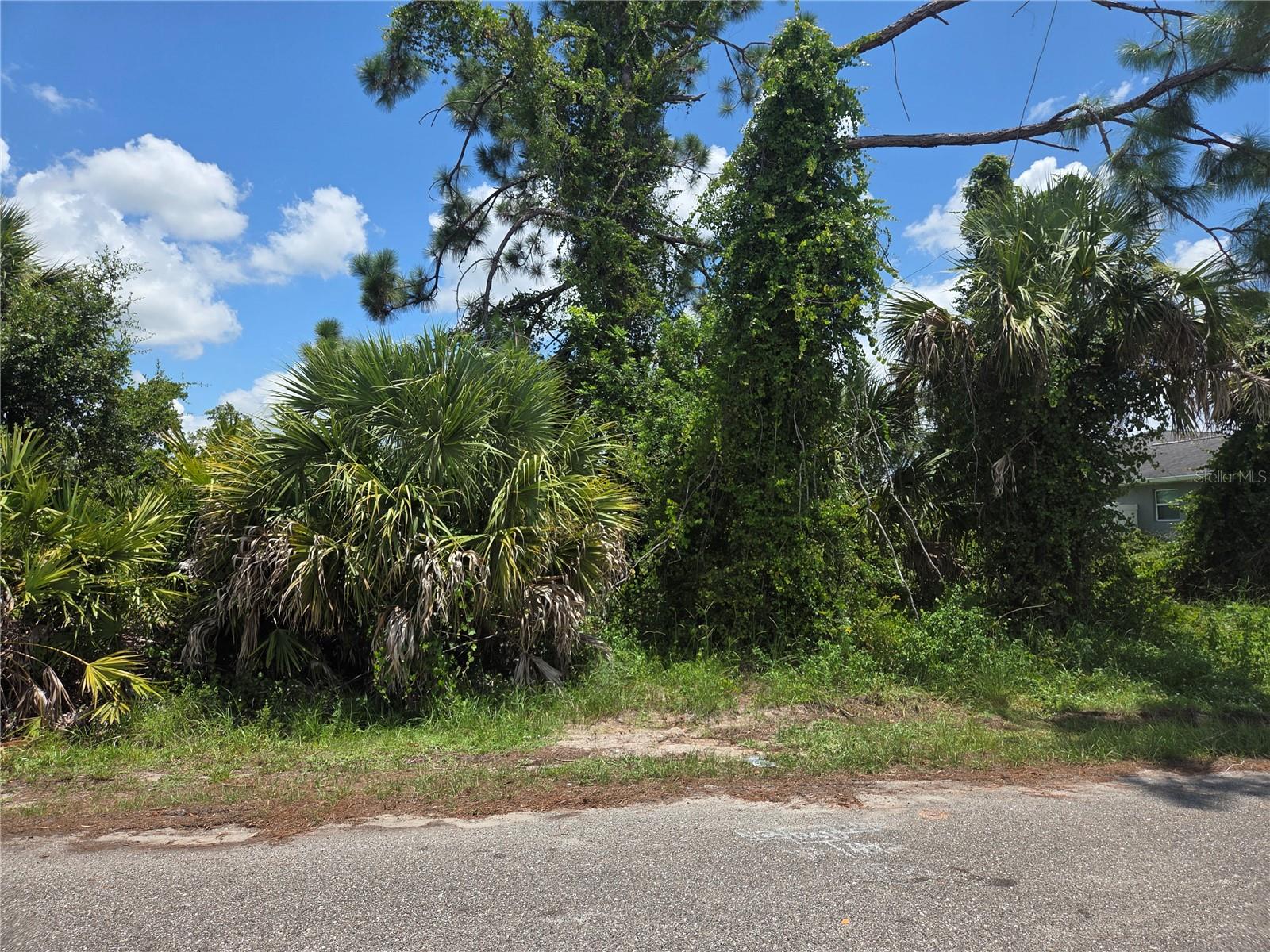 Selover Rd, FL