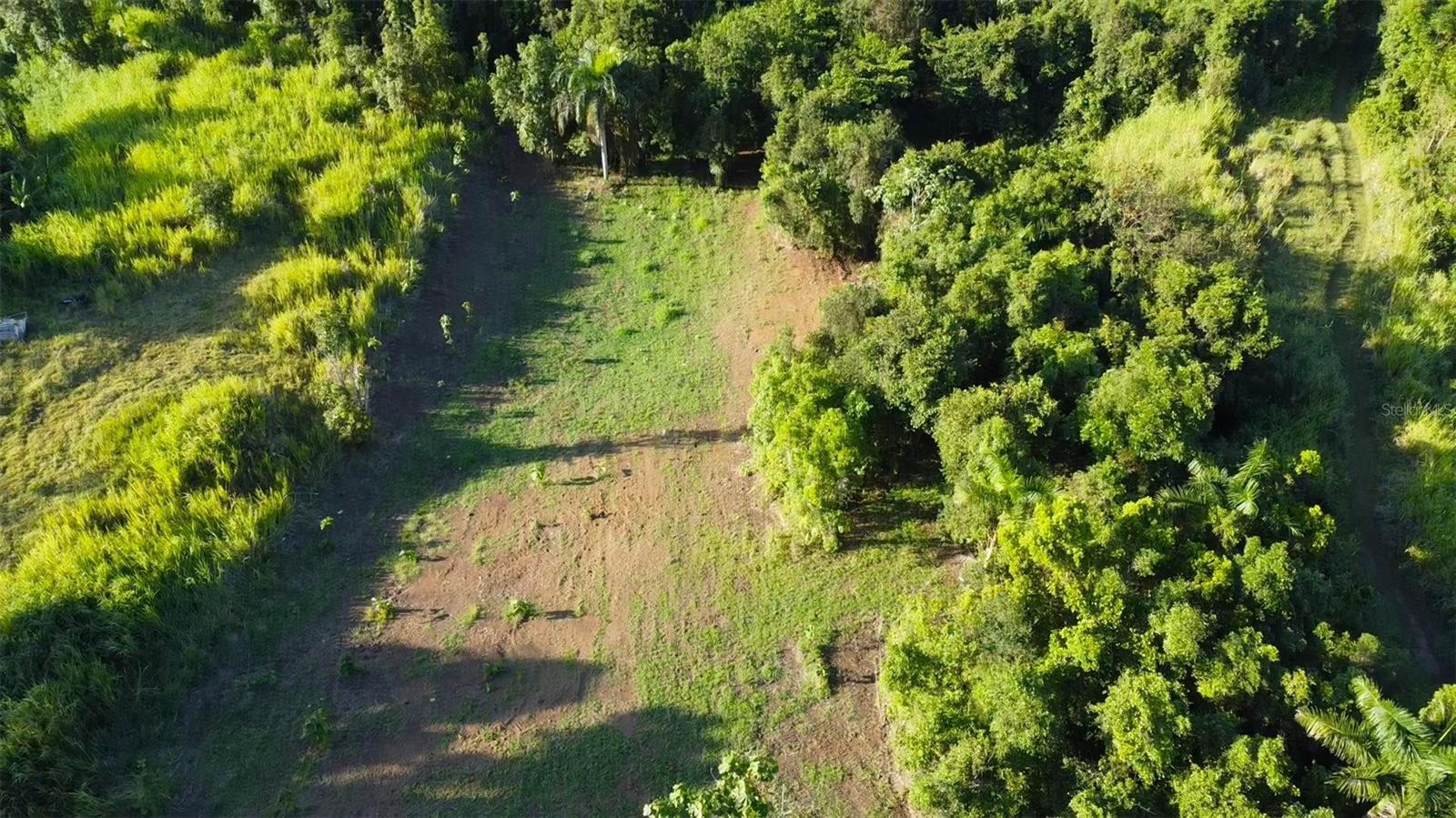Bo. Carruzo Sector Las Flores, PR