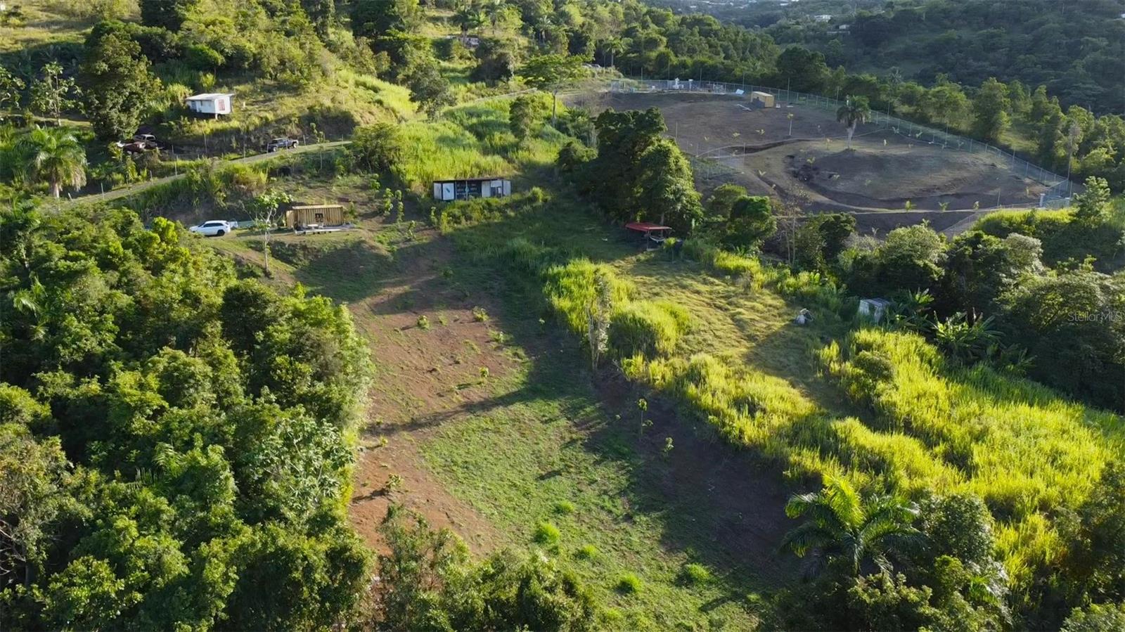 Bo. Carruzo Sector Las Flores, PR