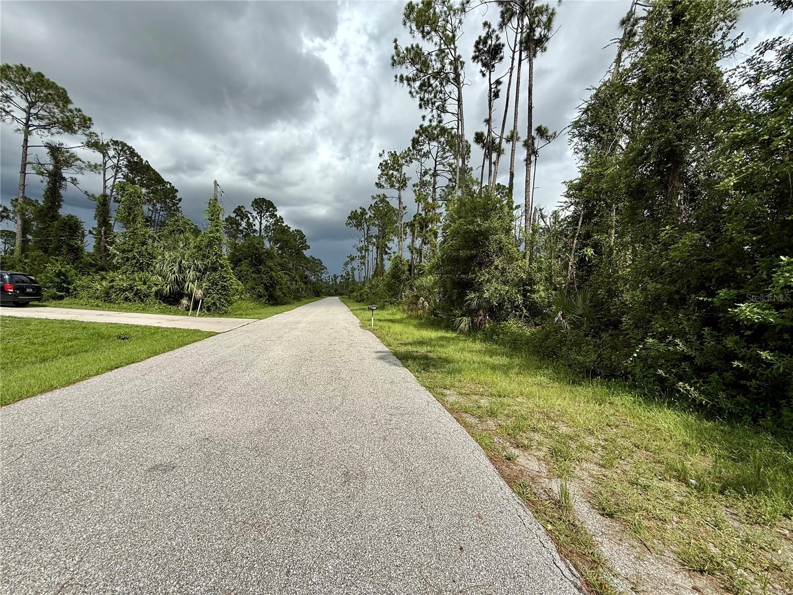 Dragonfly Ave, FL