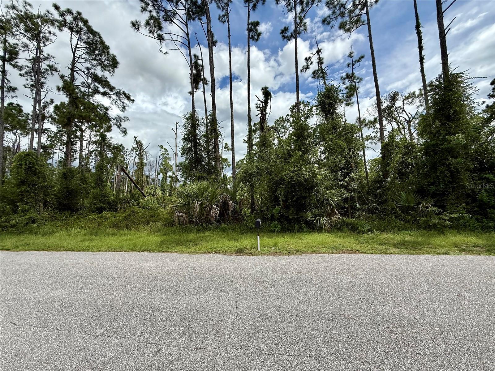 Dragonfly Ave, FL
