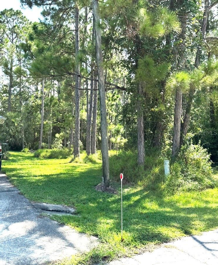 15 Kasbah Place, FL
