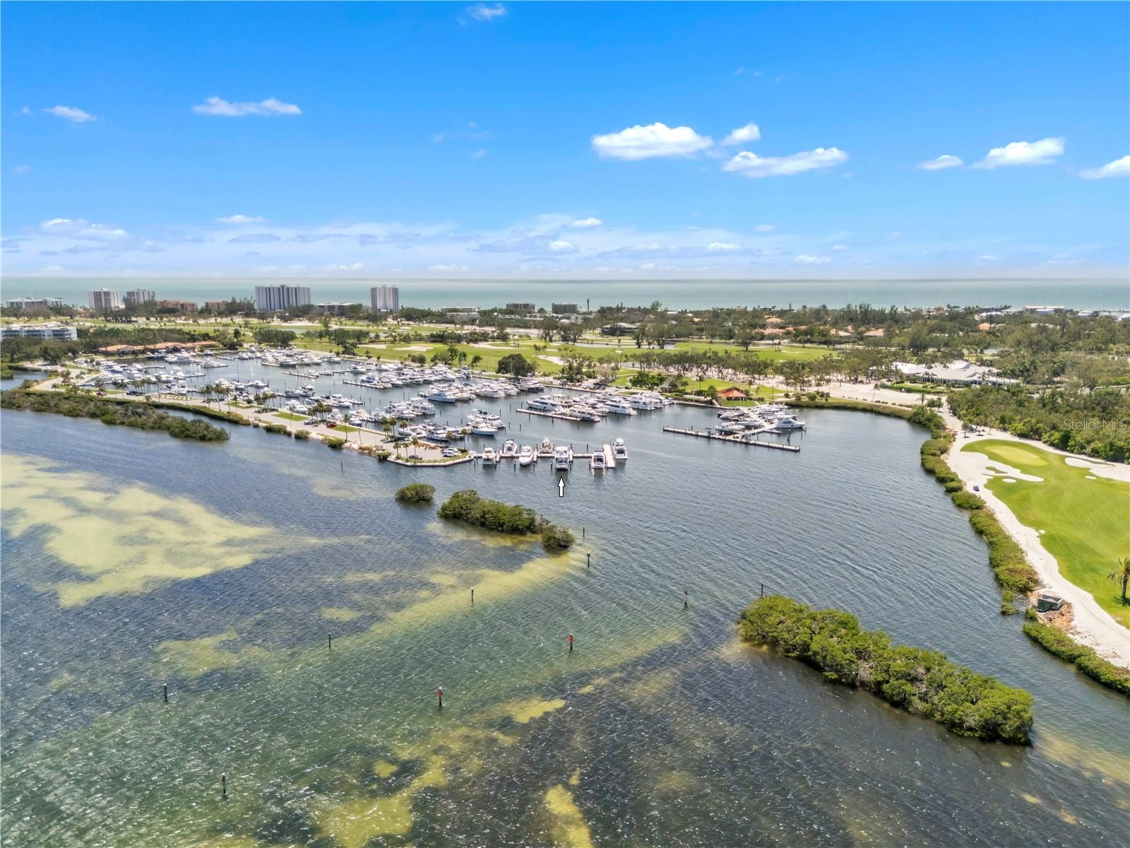 2600 Harbourside Drive, FL