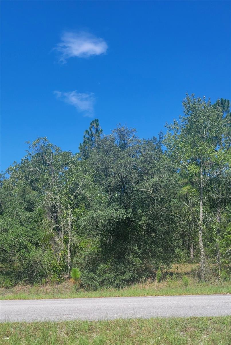 0 Sw Big Bear Rdg, FL