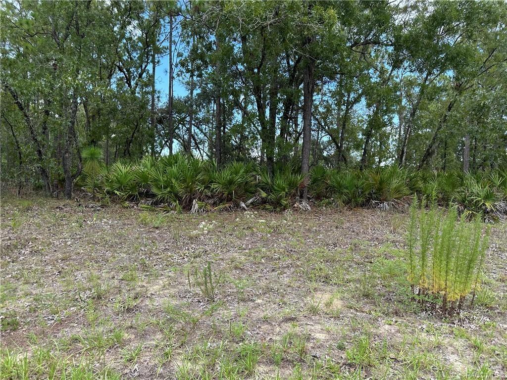 1195 Hampshire Boulevard, FL