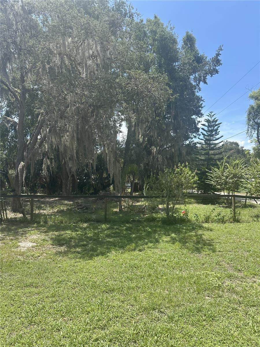 Fern Dr, FL