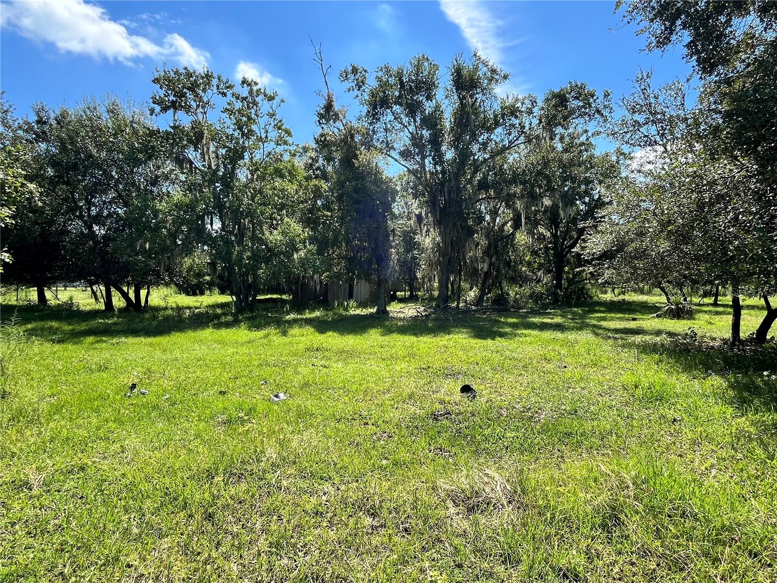 6930 Muck Pond Rd, FL