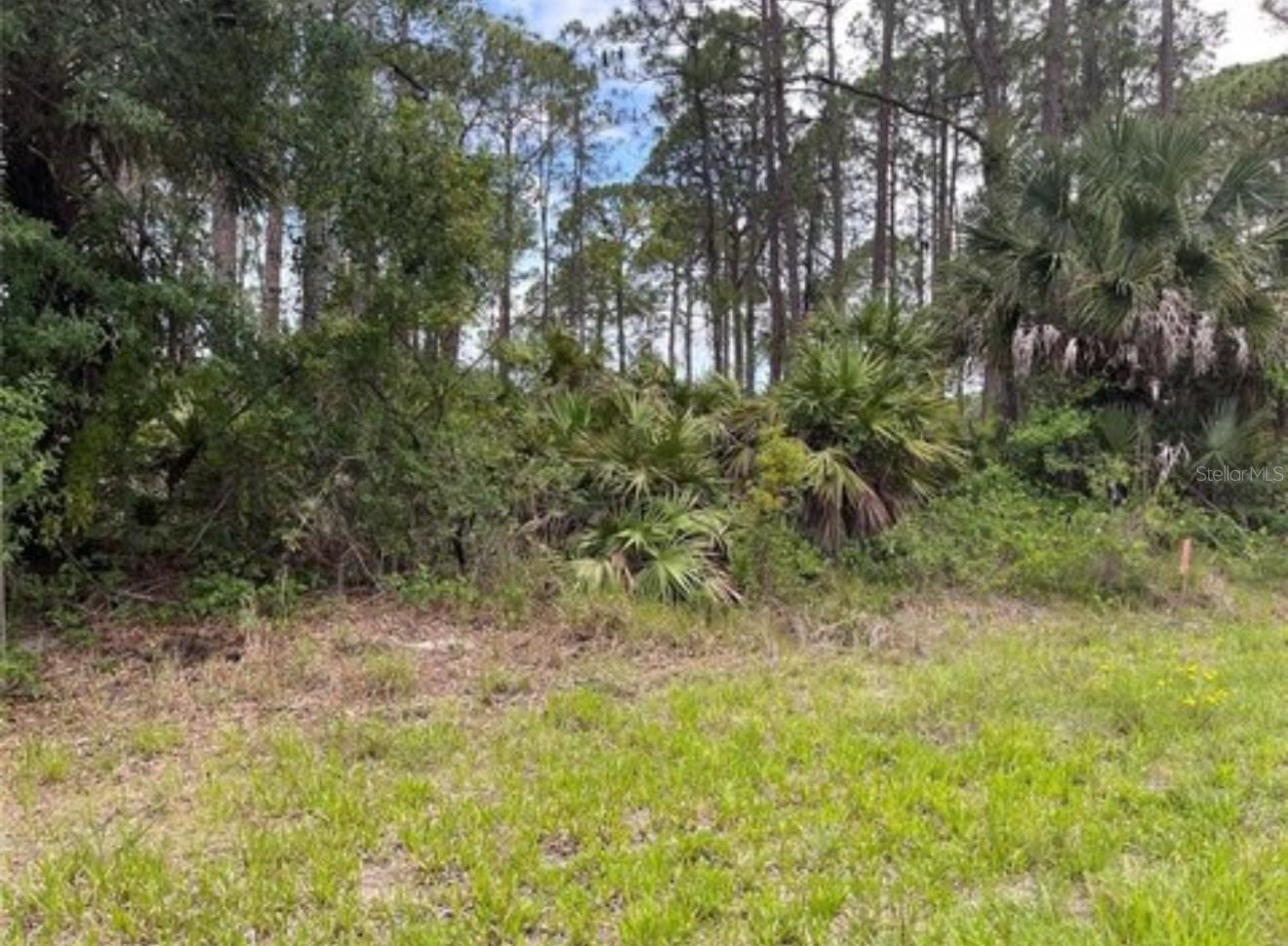 3015 Eisenhower St W, FL