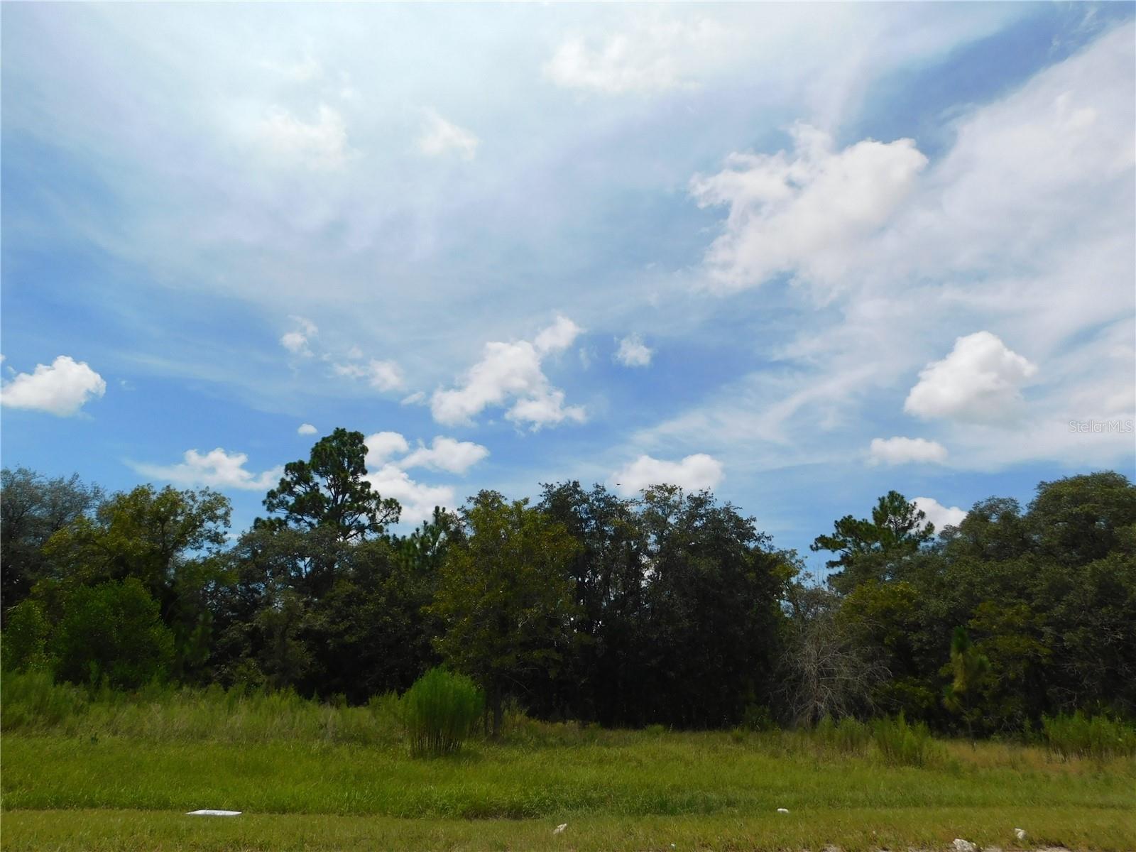 6683 N Bedstrow Blvd, FL