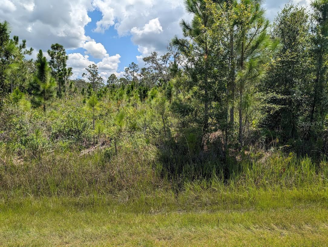 311 Hibiscus Dr, FL