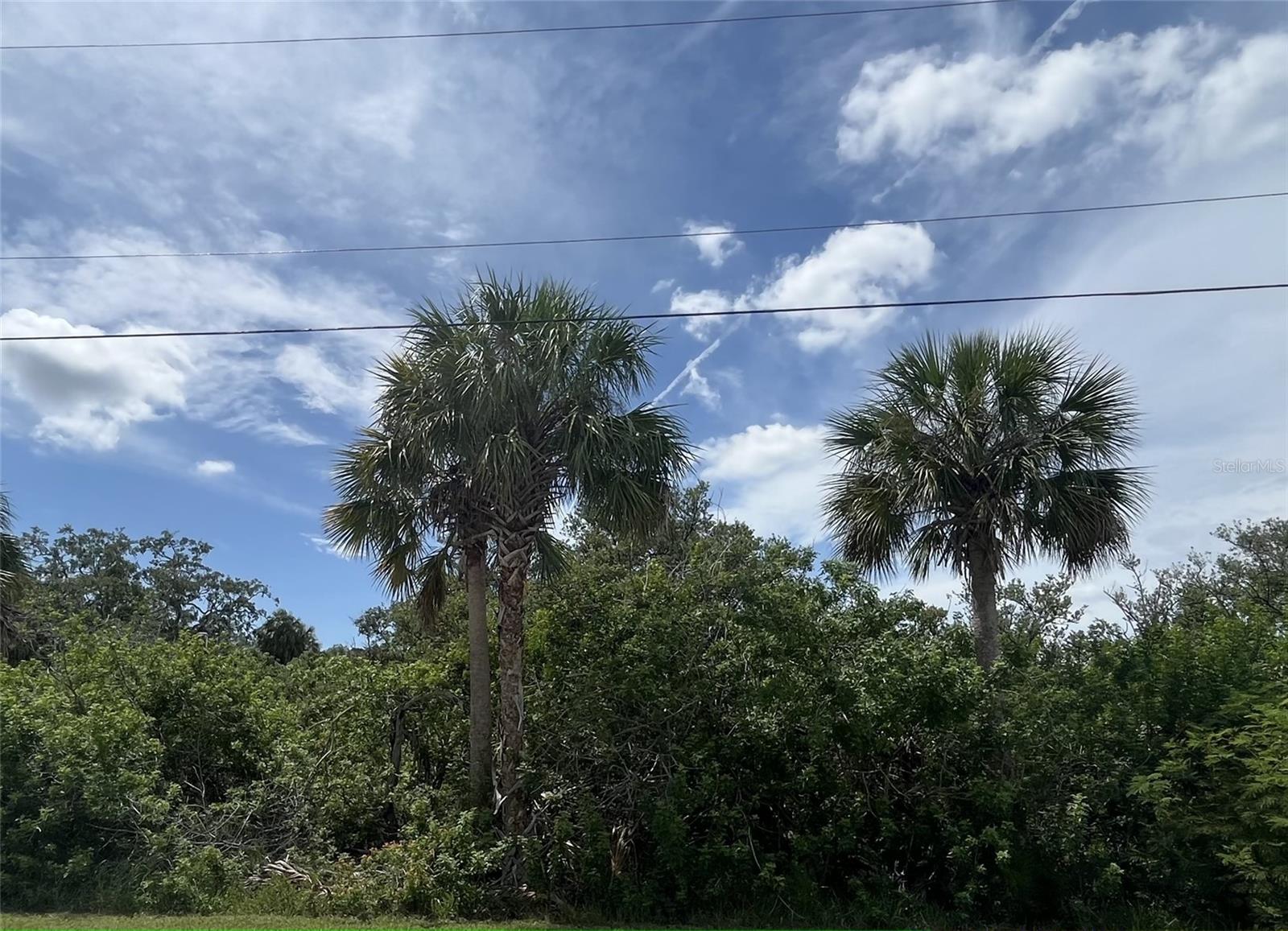 Betty St, FL