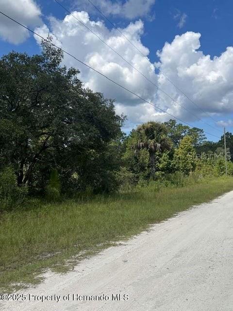 0 0 Yellow Frog Avenue, FL