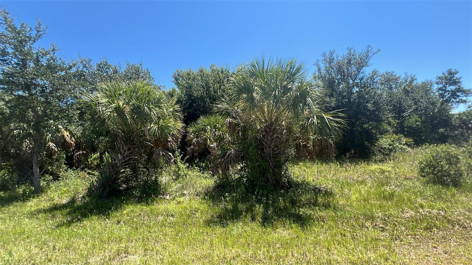 7270 Riverton Circle, FL