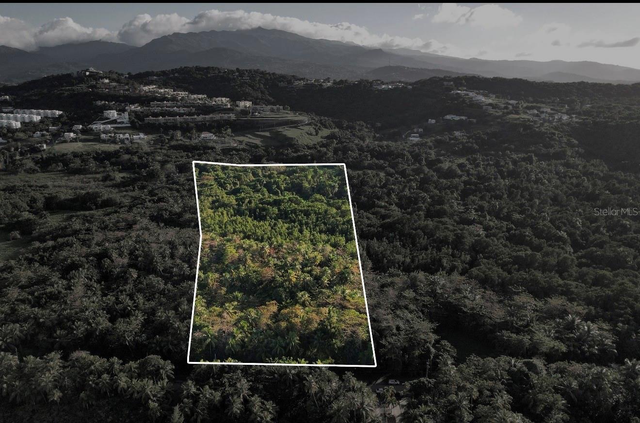 Pr-968 Km 2.2 Sector Las Picuas, PR