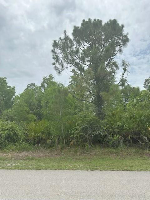 12143 Pontoon Boulevard, FL