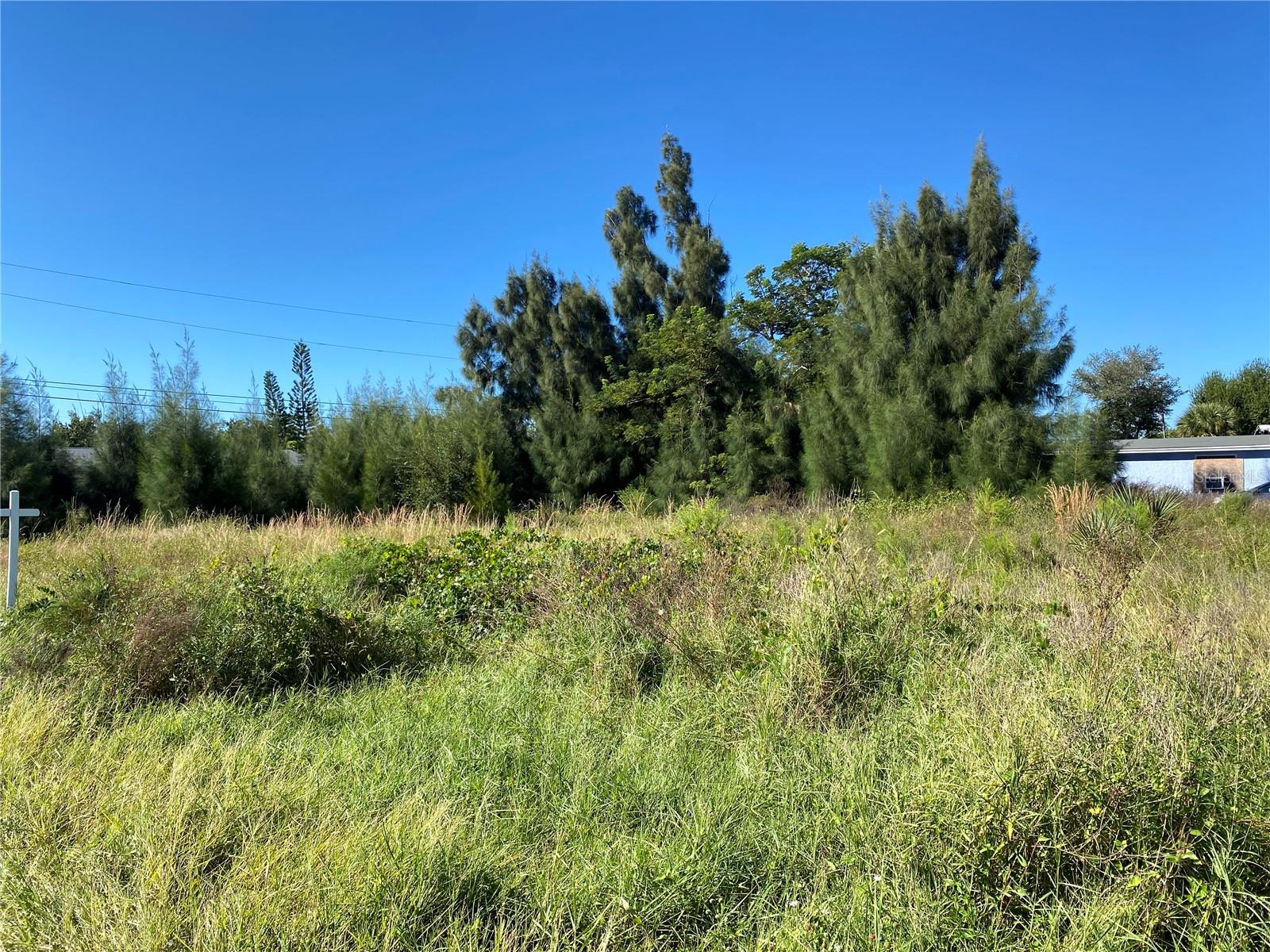 Olive St, FL