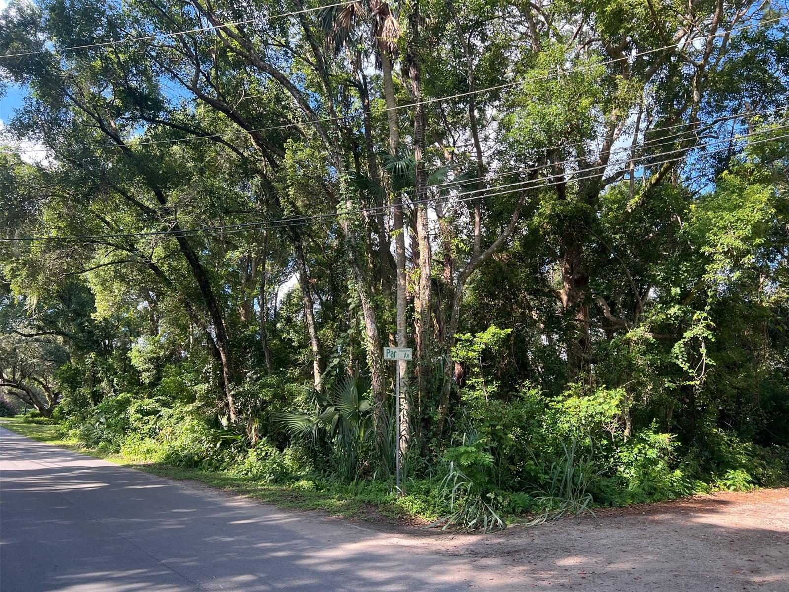 Par Avenue, FL