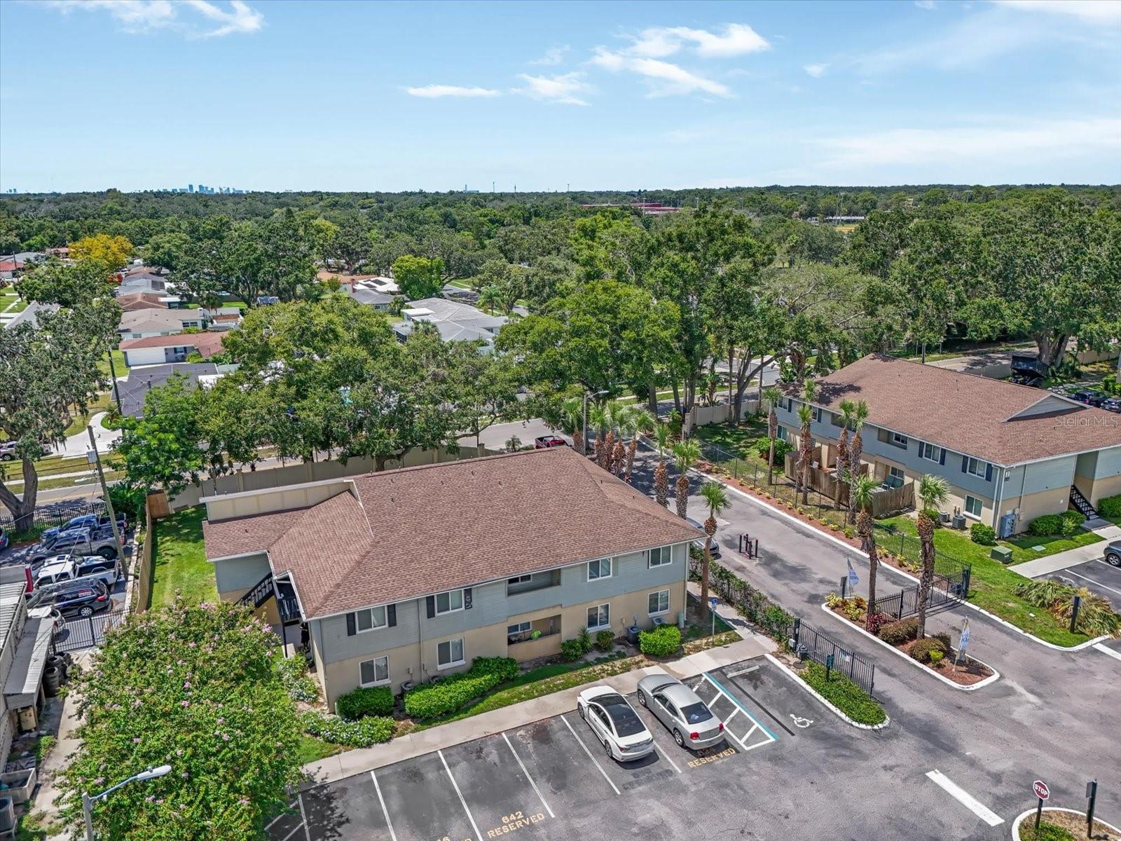 638 Golden Raintree Pl, FL