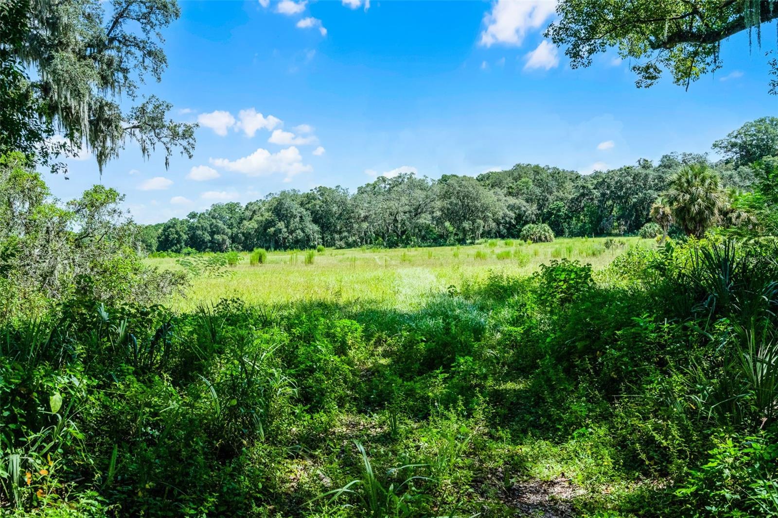 7466 Vivian Lane, FL