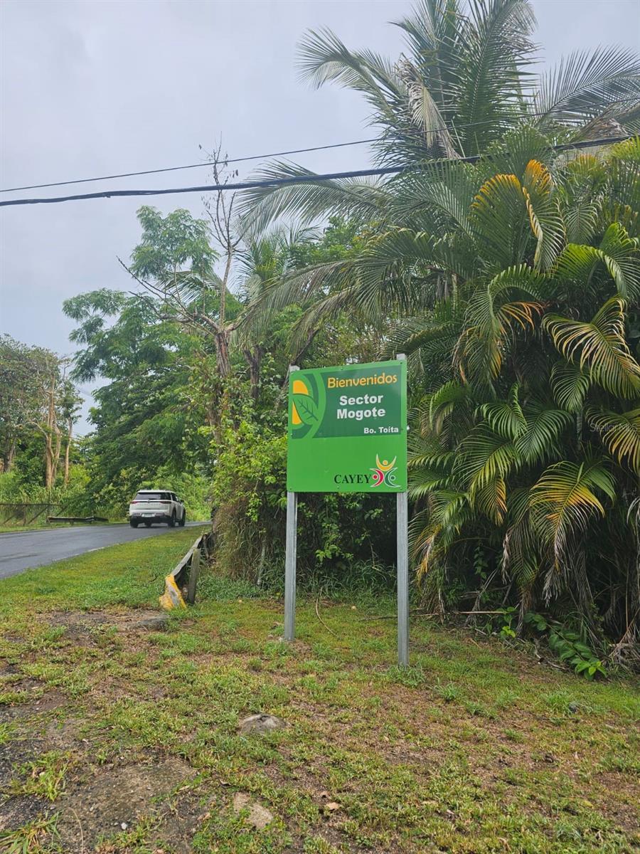 Bo. Toita Sector Mogote, PR