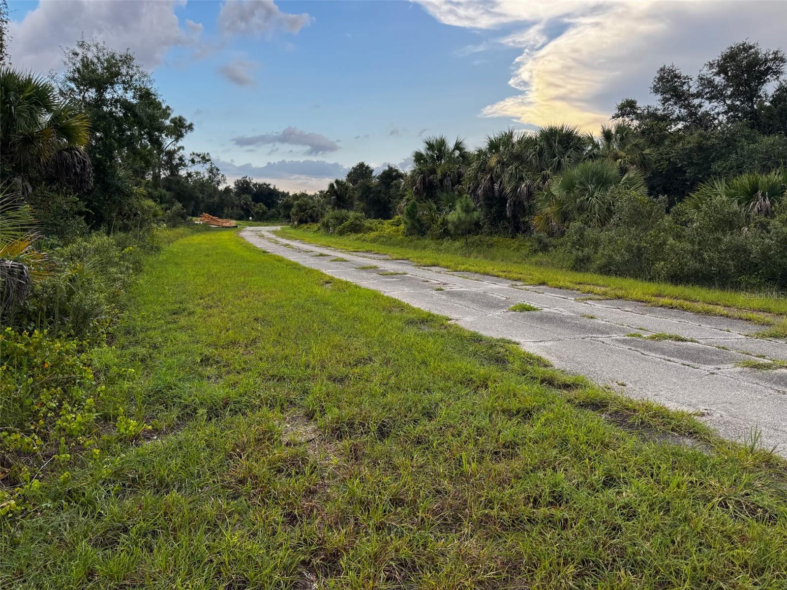 0 Hamburg Drive, FL