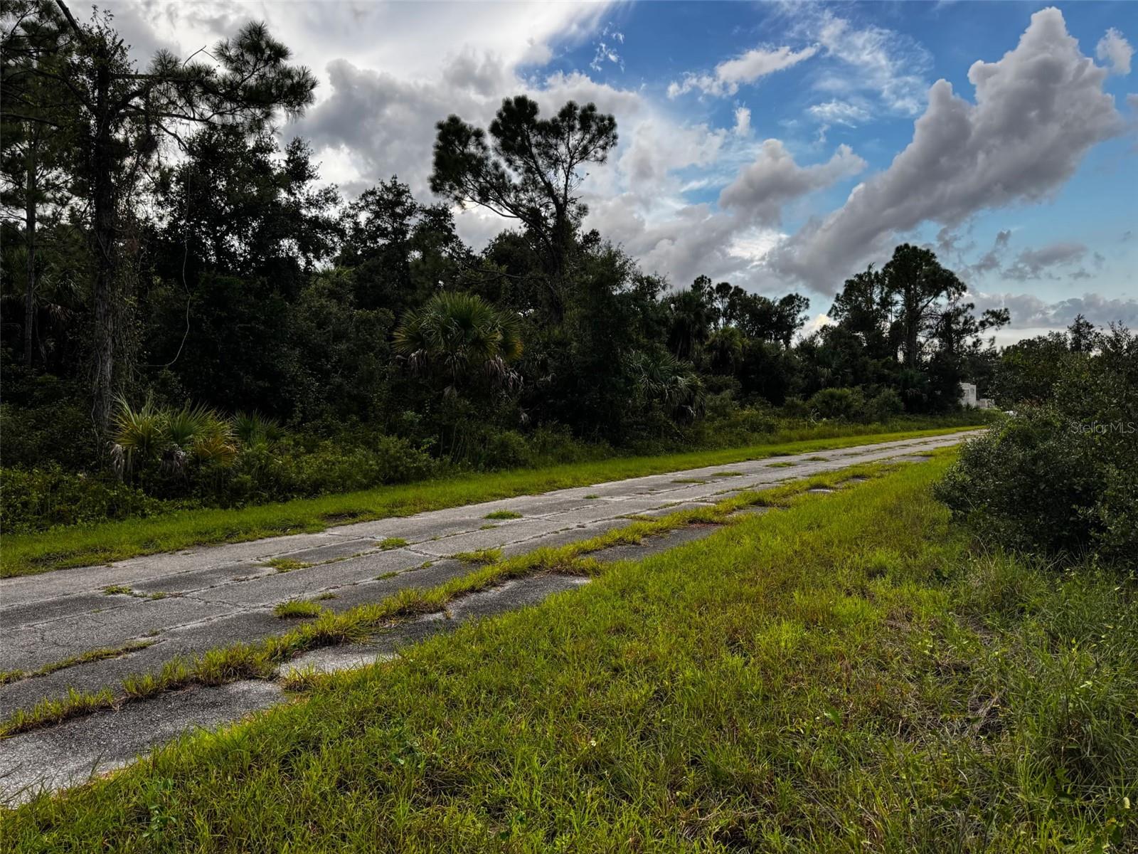 0 Hamburg Drive, FL