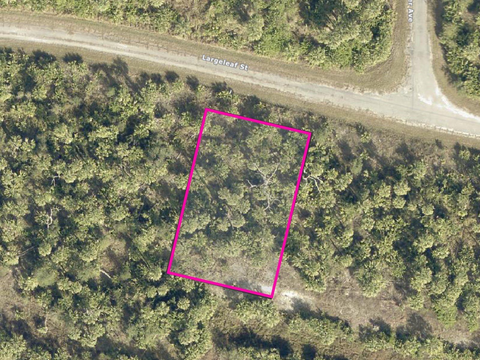 Largeleaf Street, FL
