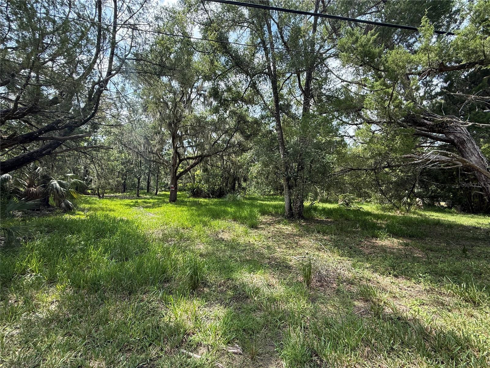 11990 W Eldred Ln, FL