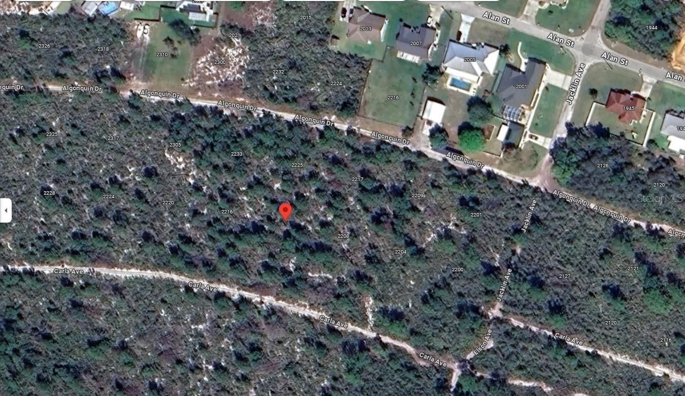 2212 Carla Avenue, FL