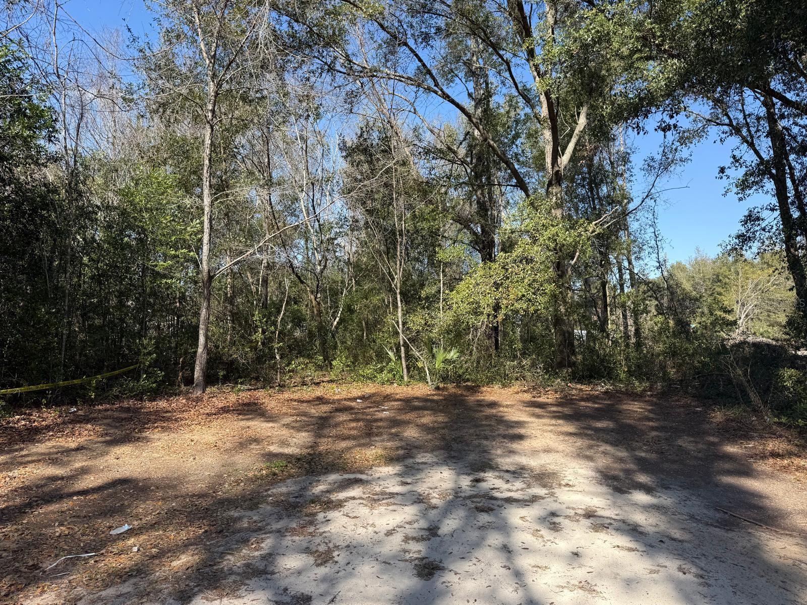 5325 7th Street, FL