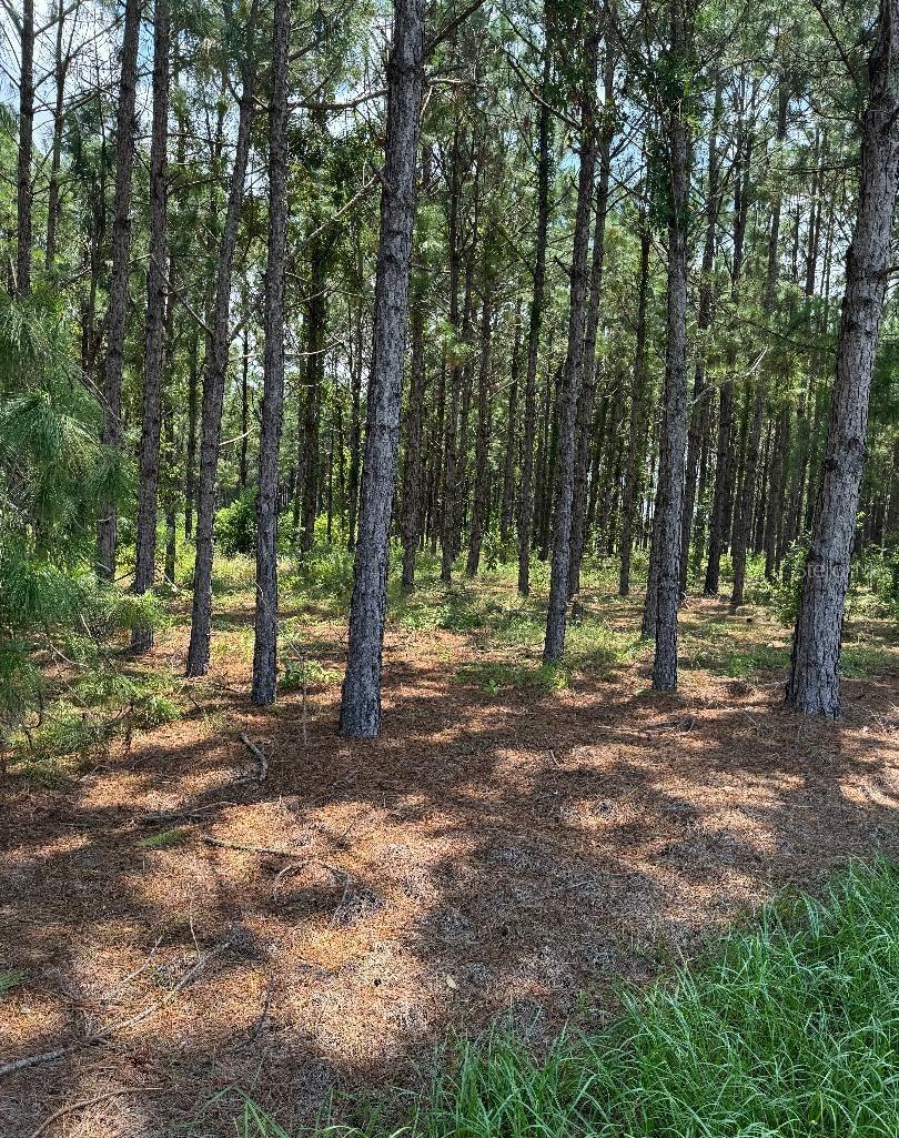 Cr 227 Road, FL