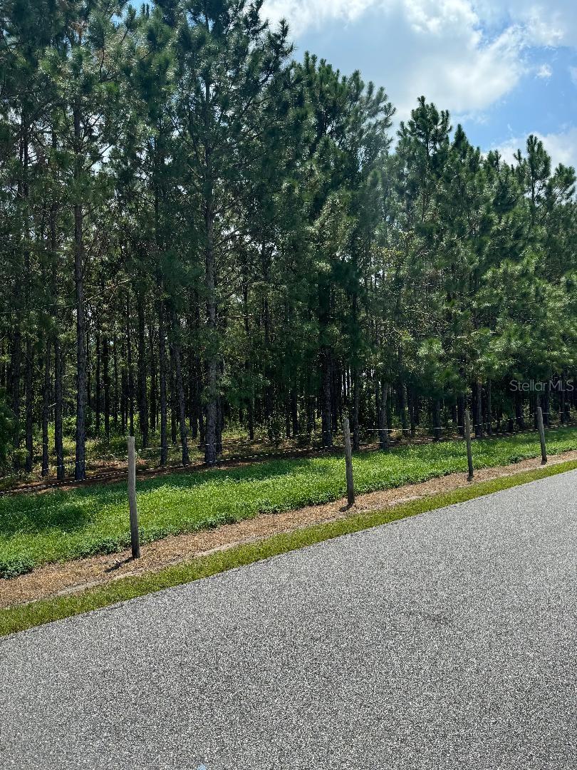 Cr 227 Road, FL