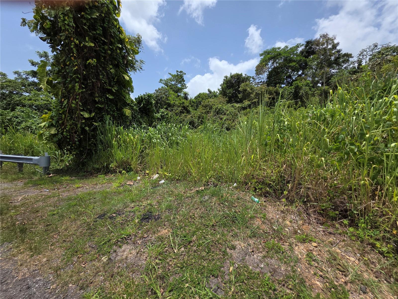 Carr-137, PR