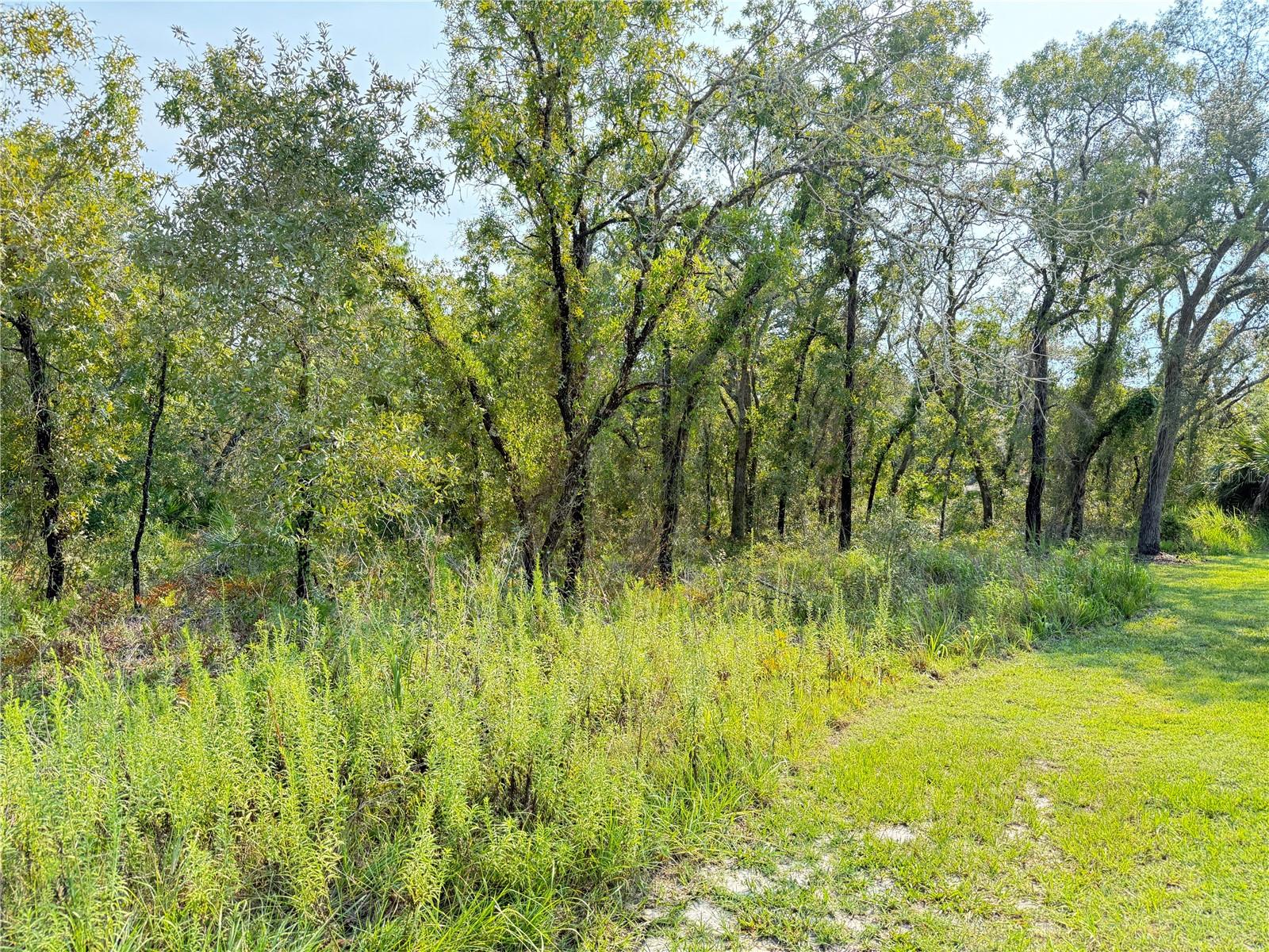11096 Marsh Wren Avenue, FL