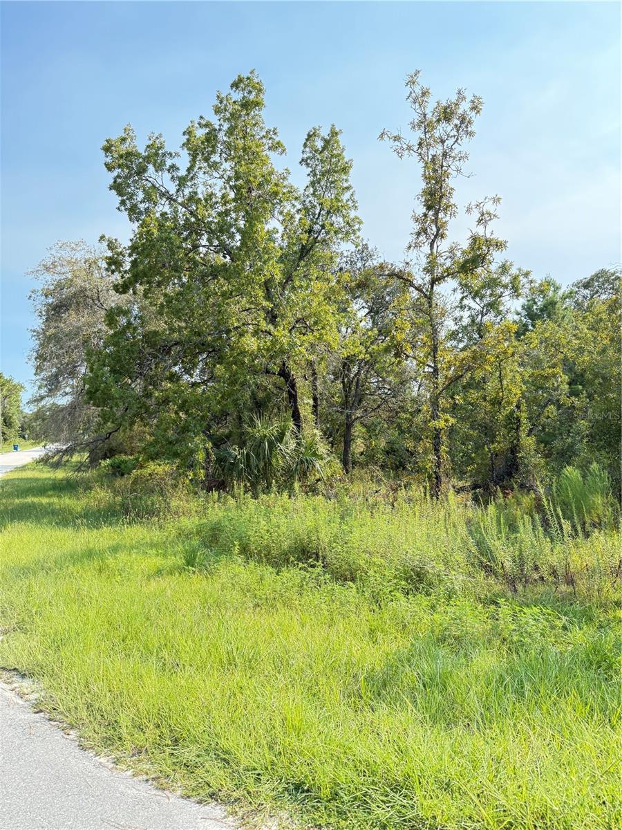 11096 Marsh Wren Avenue, FL