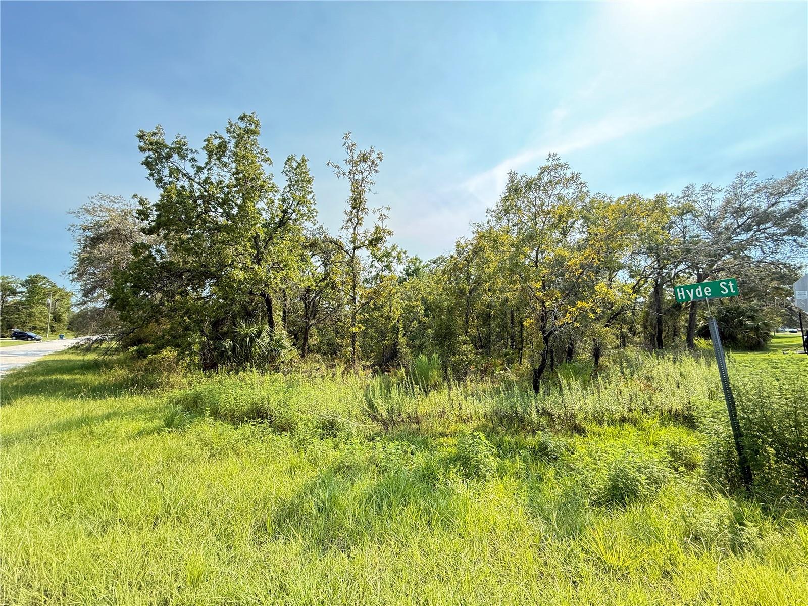 11096 Marsh Wren Avenue, FL