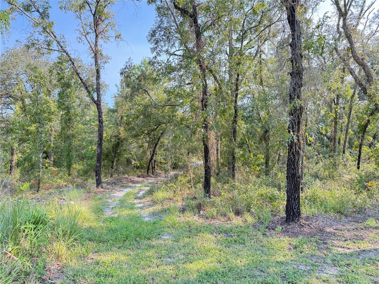 11096 Marsh Wren Avenue, FL