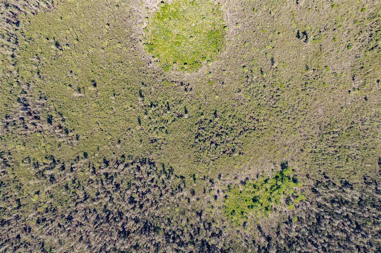 Unassigned, FL