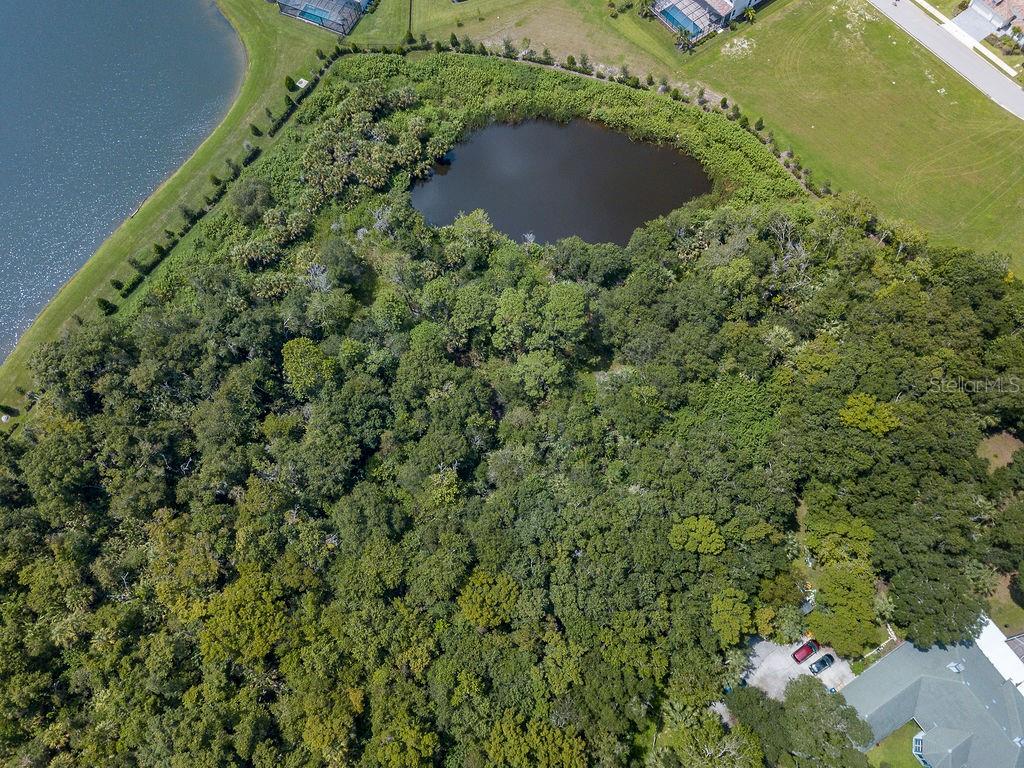 Quarter Horse Road, FL