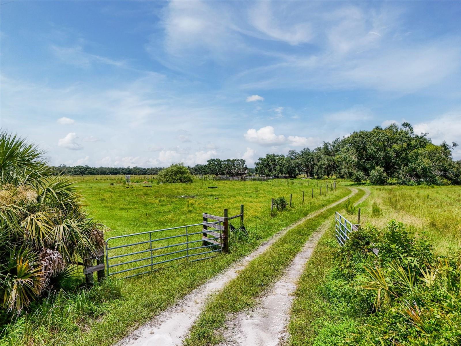 12950 River Road, FL