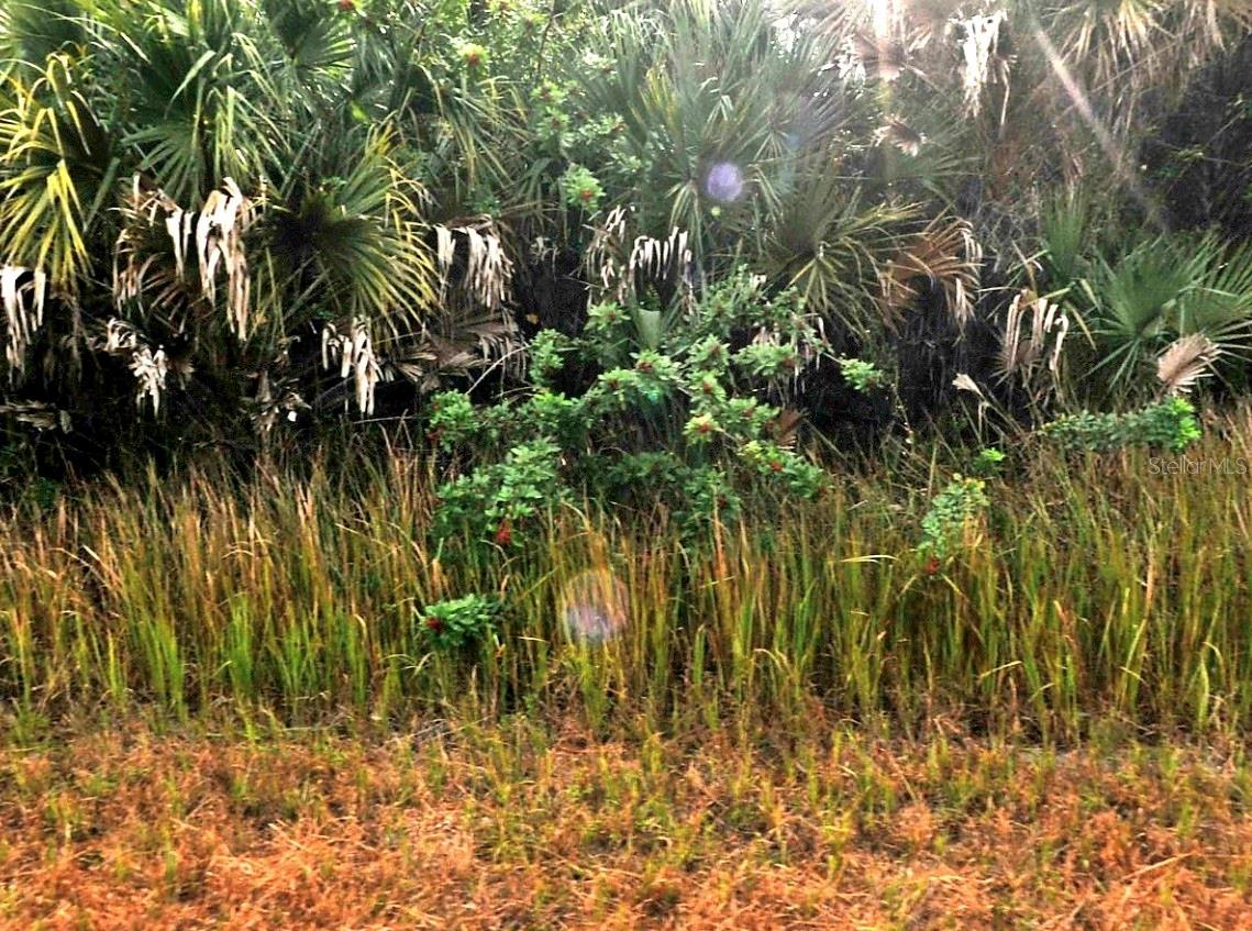 Sernice St, FL
