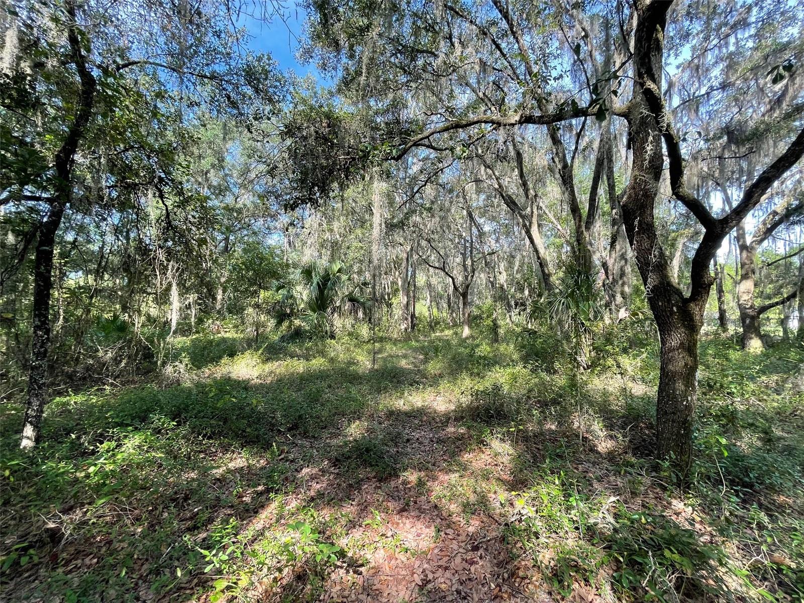 Lots 13 & 14 Shorewood Drive, FL