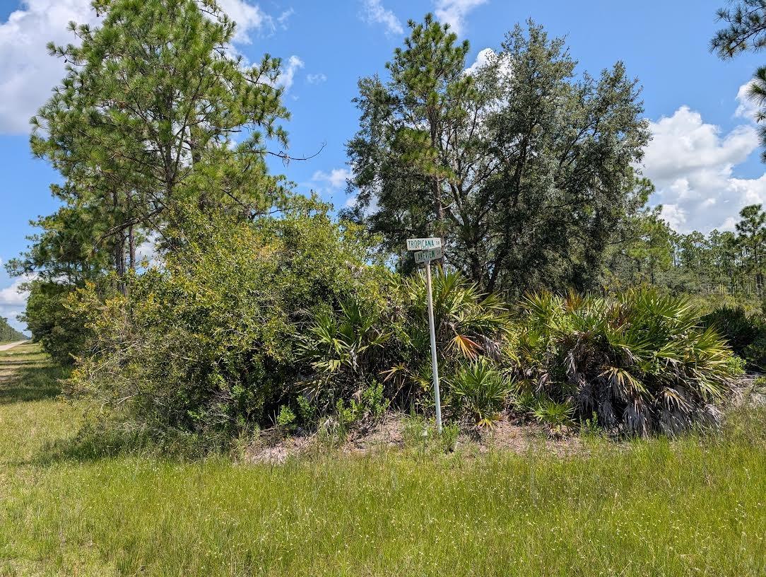 1113 Tropicana Drive, FL